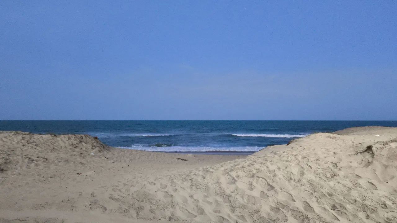 Casa para o Carnaval 