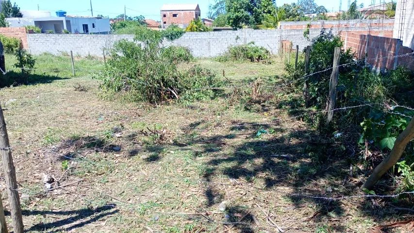 Foto - São Pedro da Aldeia - Flexeira