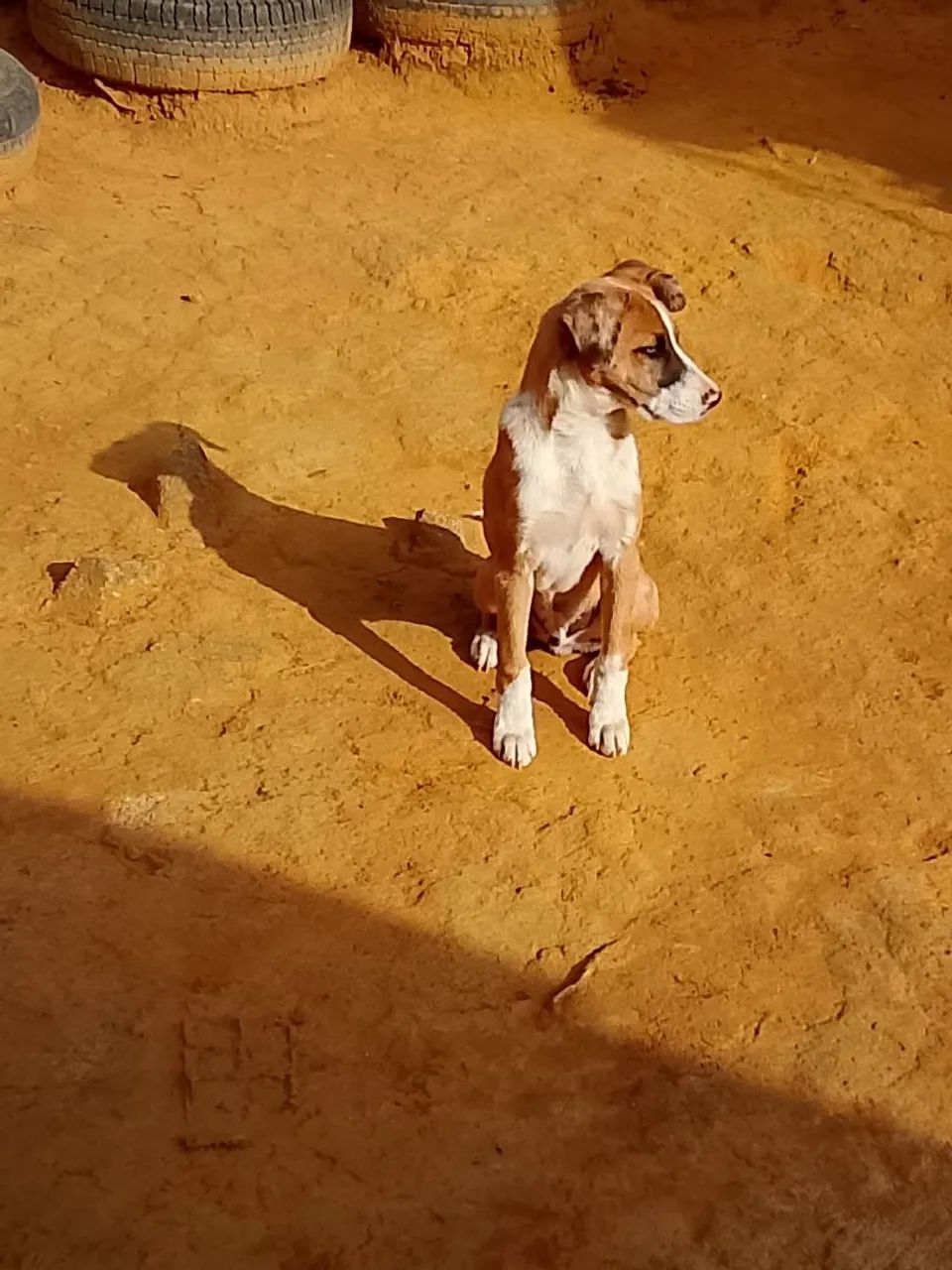 Doação  - Foto 2