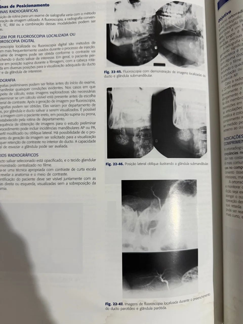 Livro de anatomia e radiologia  - Foto 2