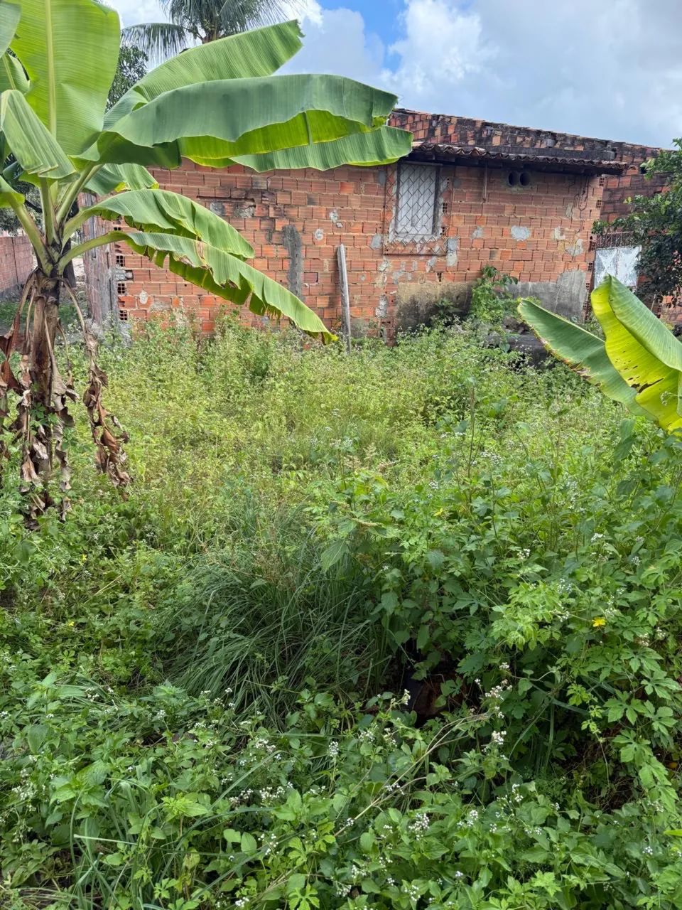 Vendo Terreno na Piabeta 7x20 - Foto 5