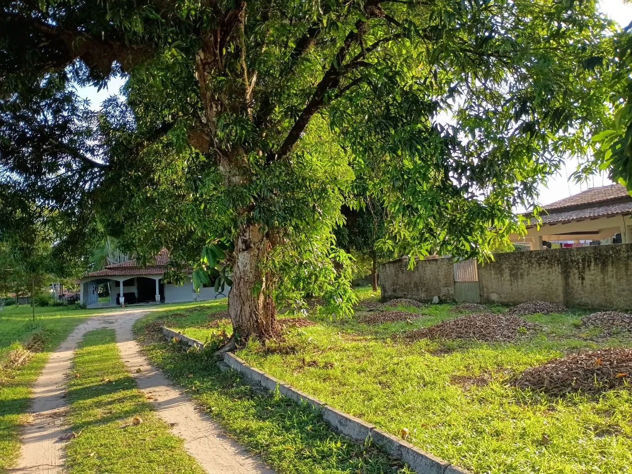 Vendo linda chácara +1 linda casa  - Foto 4