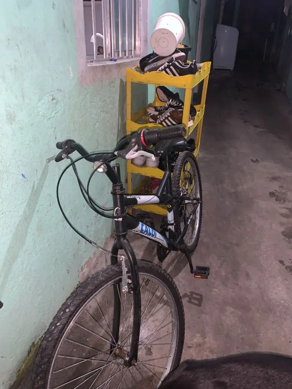 Bicicleta