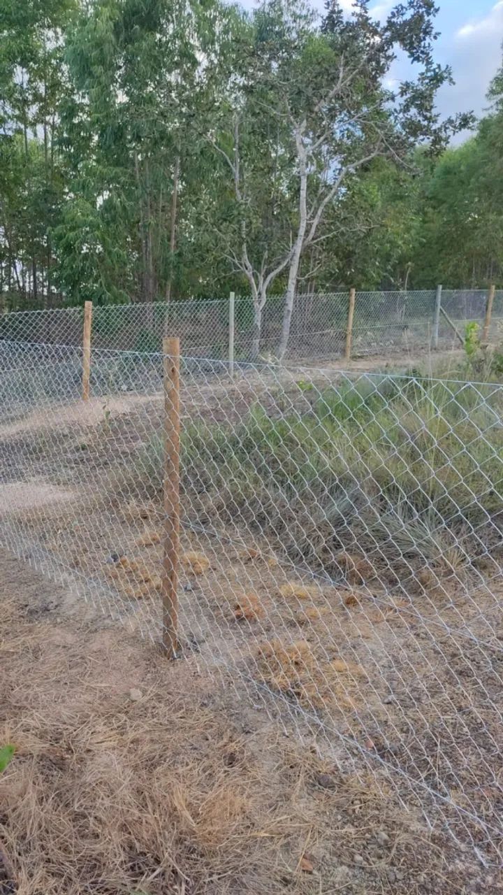 Fazendinha em Três Marias 60.000 m2 - Foto 5