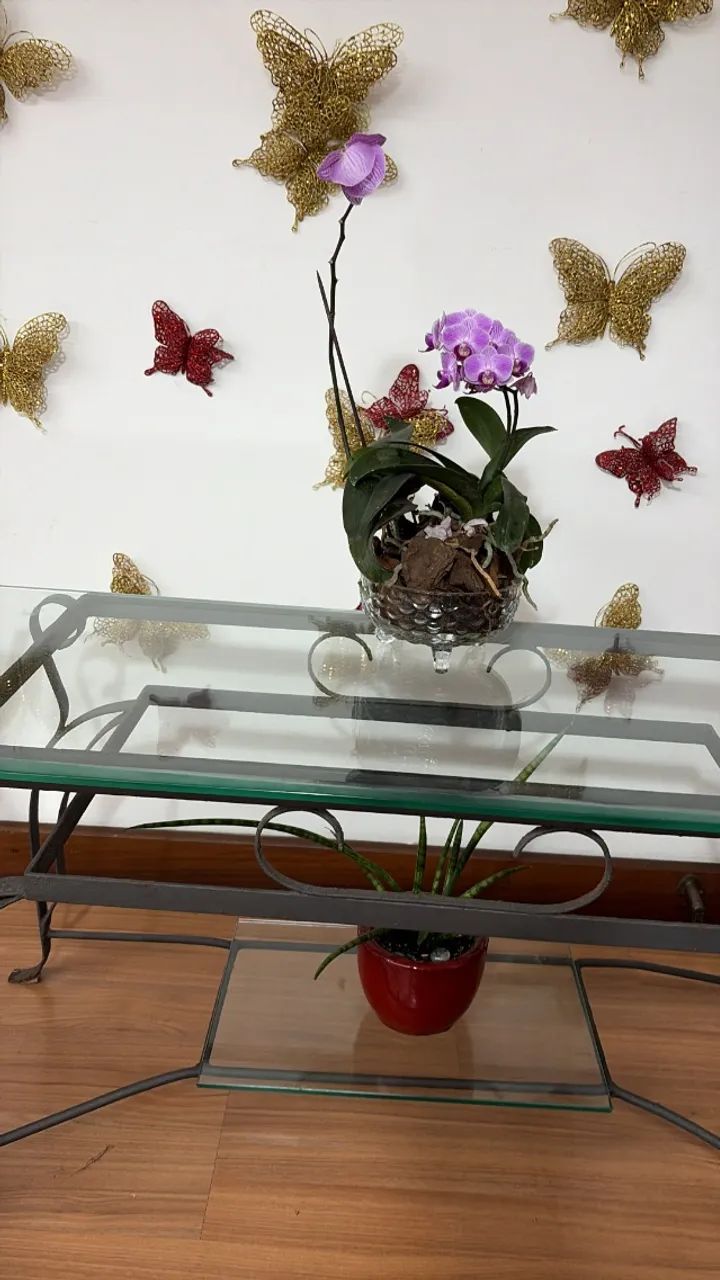 Mesa de centro em ferro trabalhado e vidro 10 mm trabalhado - ótima para qualquer ambiente