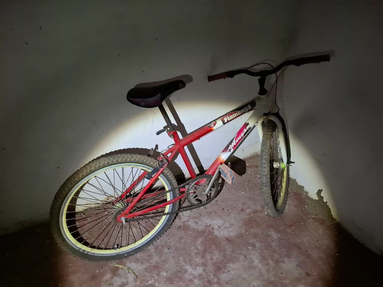 Bicicleta 
