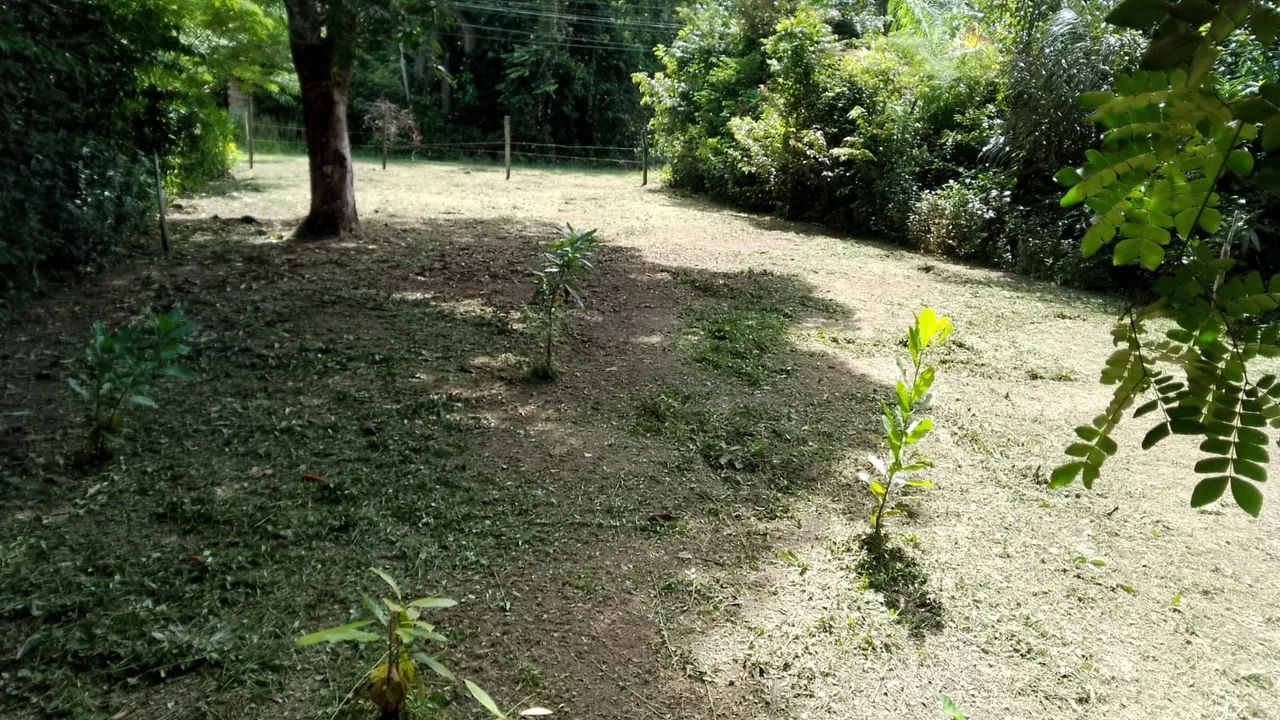Venda de Terreno - Ilha de Cotijuba - Foto 2