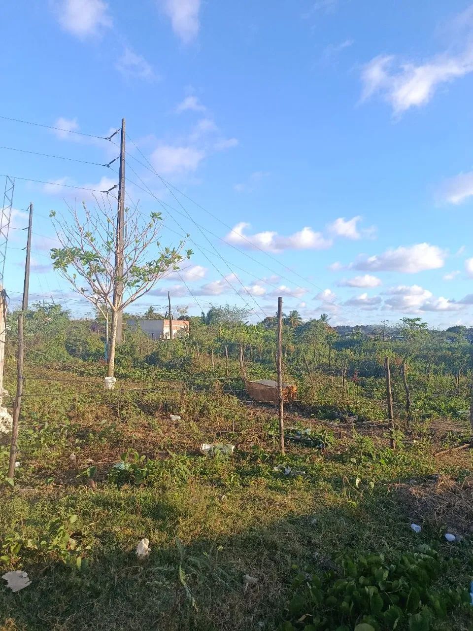 Vendo Terreno no Guarujá 7x 25 - Foto 4