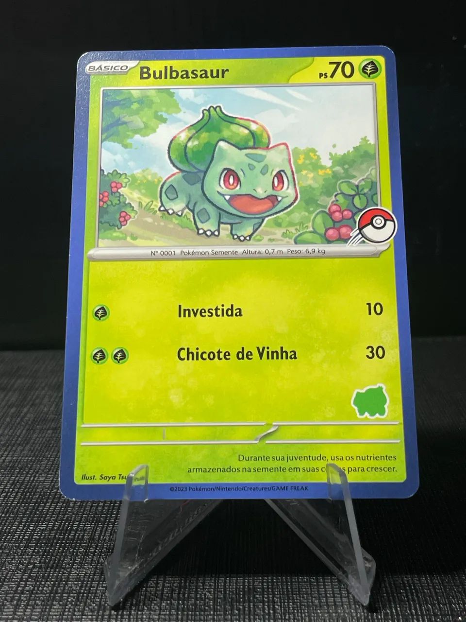 Bulbasaur  - Foto 4