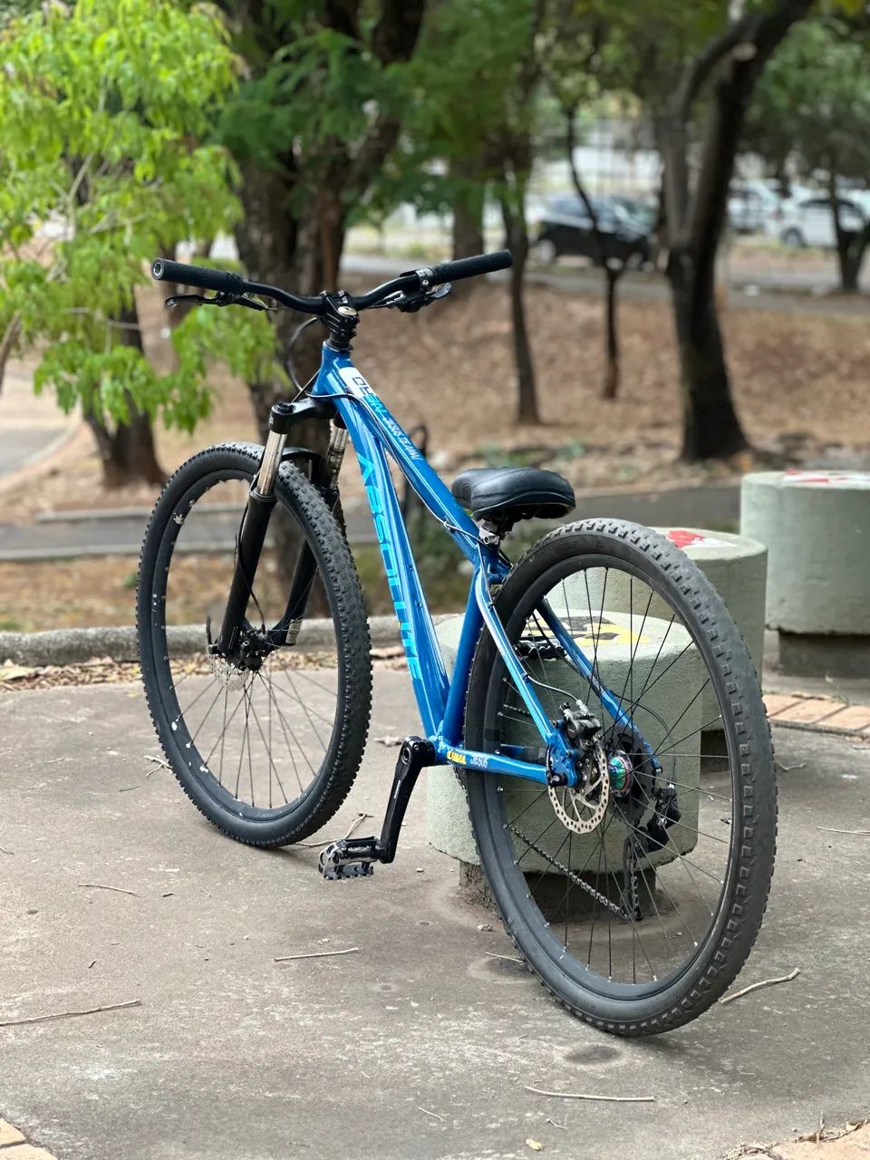 Bicicleta absolut