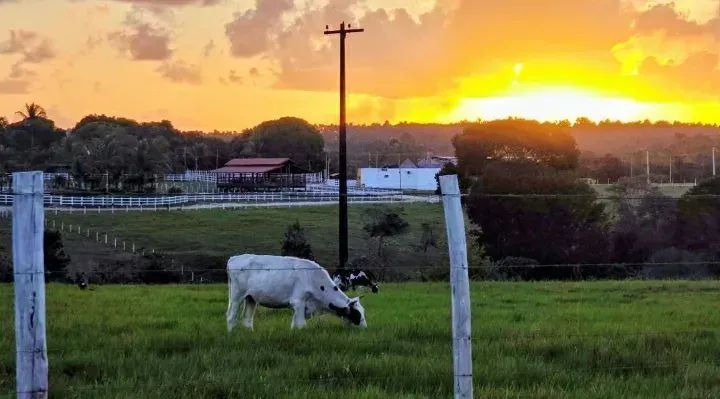 Chácara com belíssima casa mobiliada com piscina, Ipioca Ranch 2 km da praia - Foto 3
