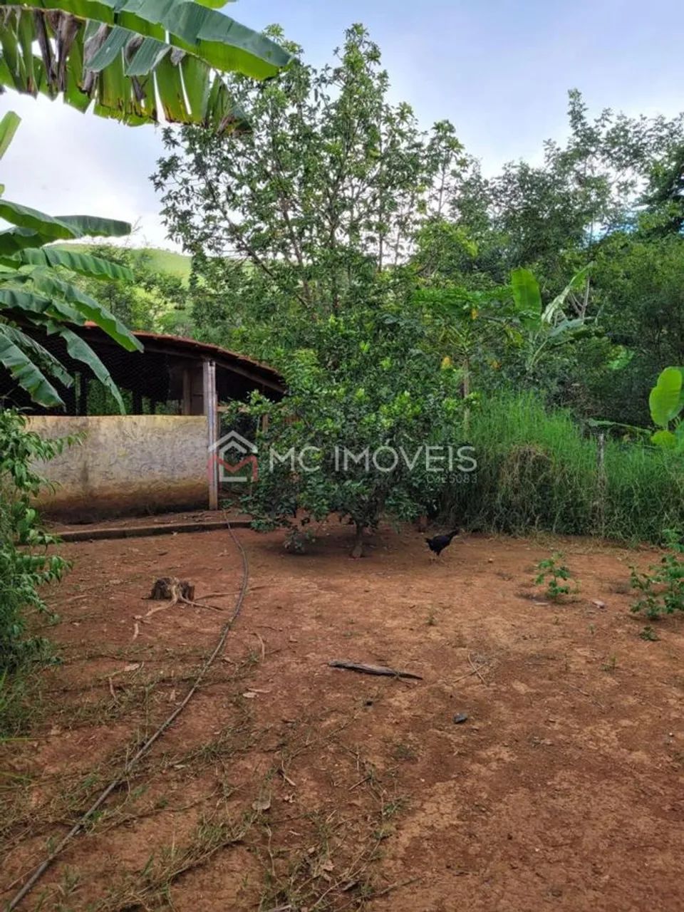 Fazenda com 5 quartos - Padre Bernardo - Foto 2