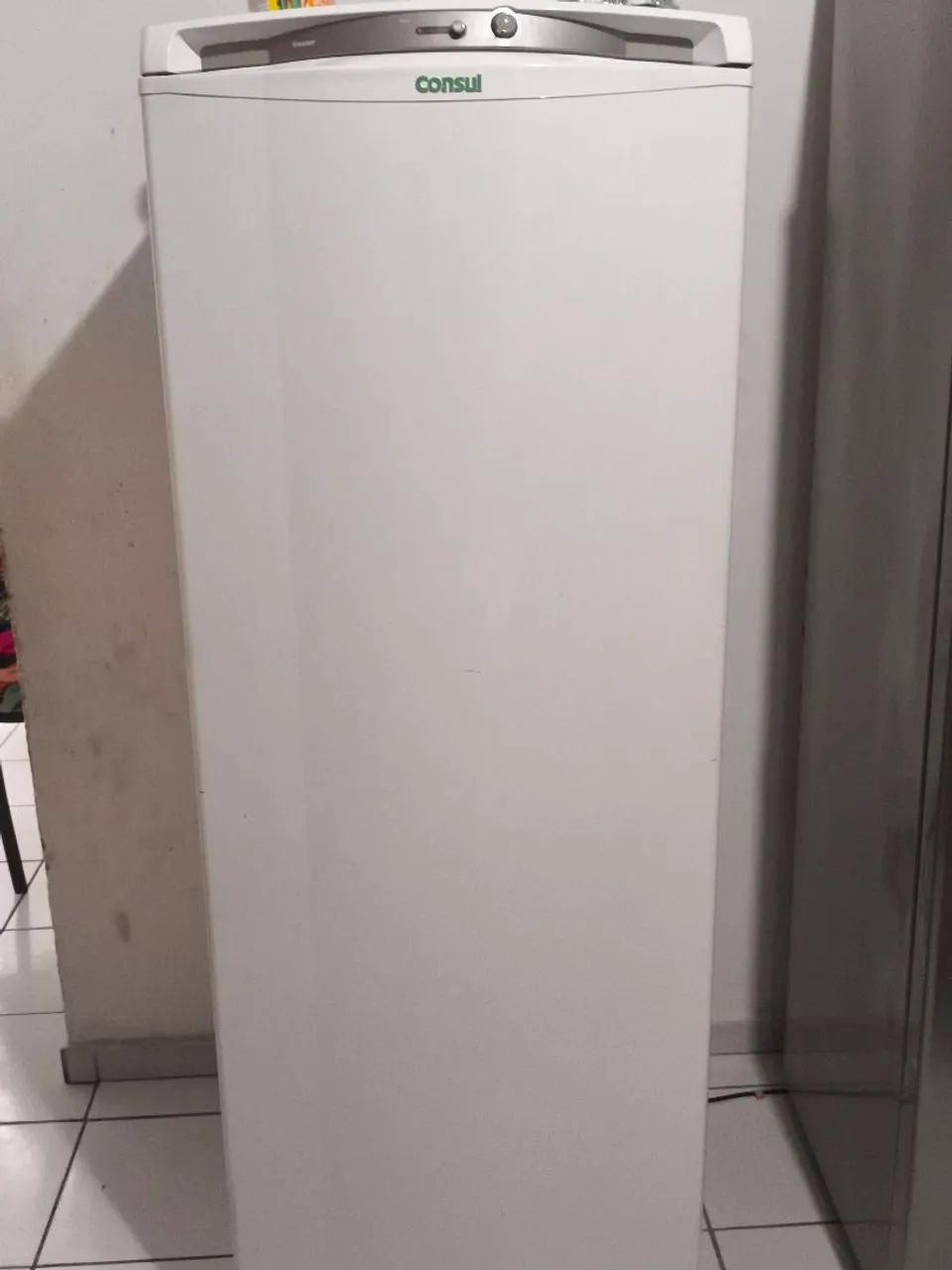 FREEZER VERTICAL