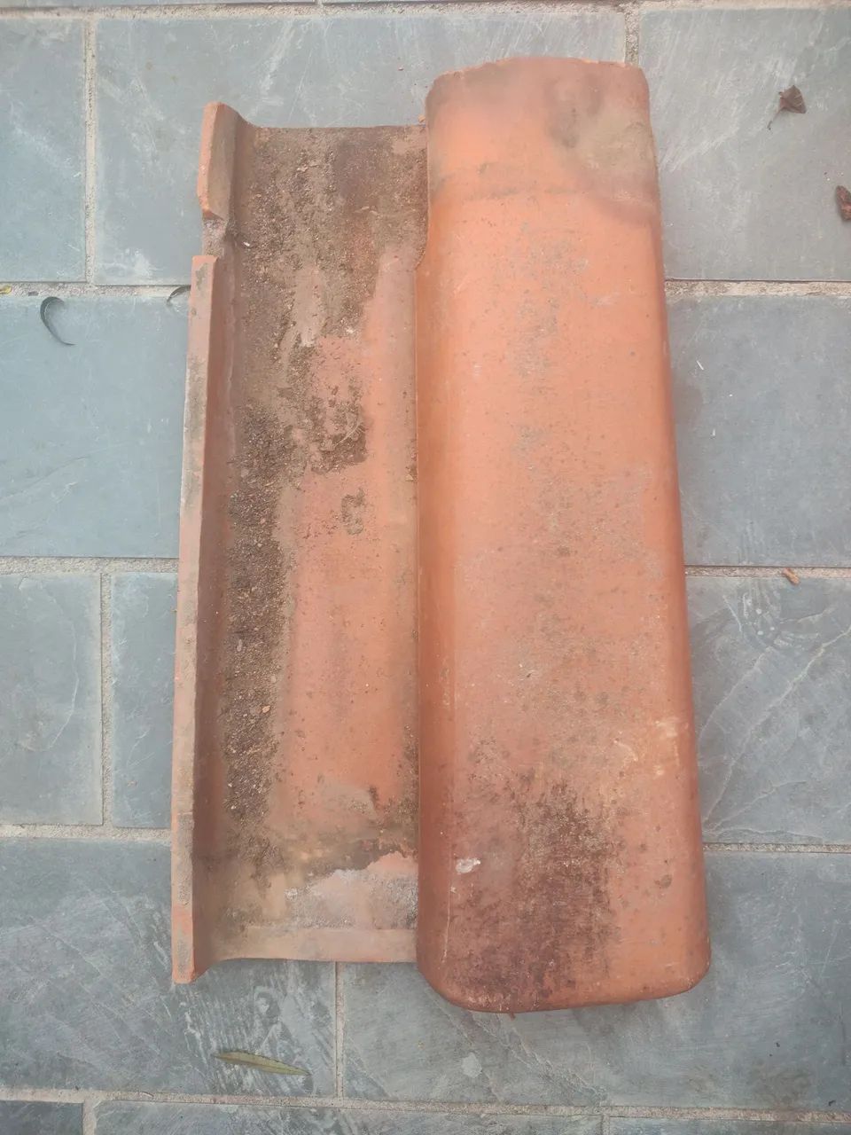 Telha - Foto 5