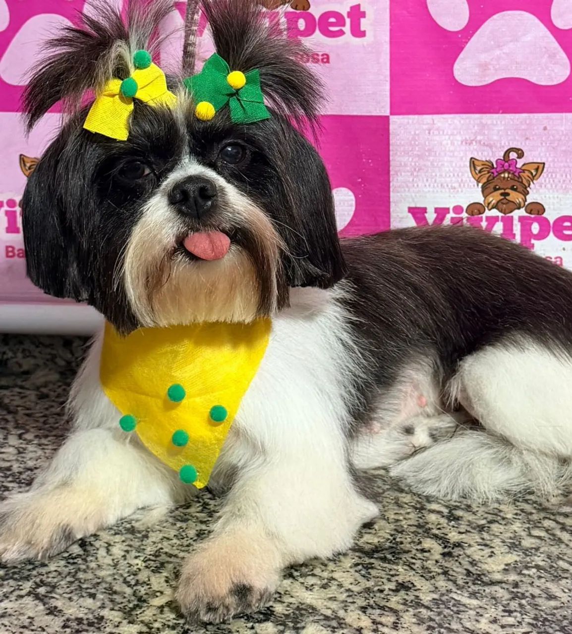 Doguinha lindaa