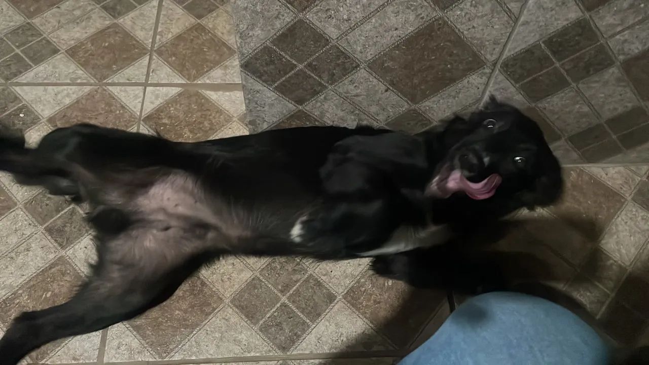 DOAÇÃO RESPONSÁVEL  - Foto 3