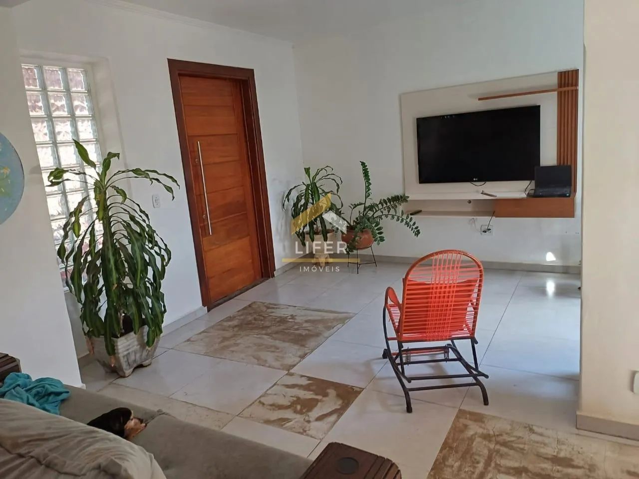 casa - Jardim Proença - Campinas - Foto 4