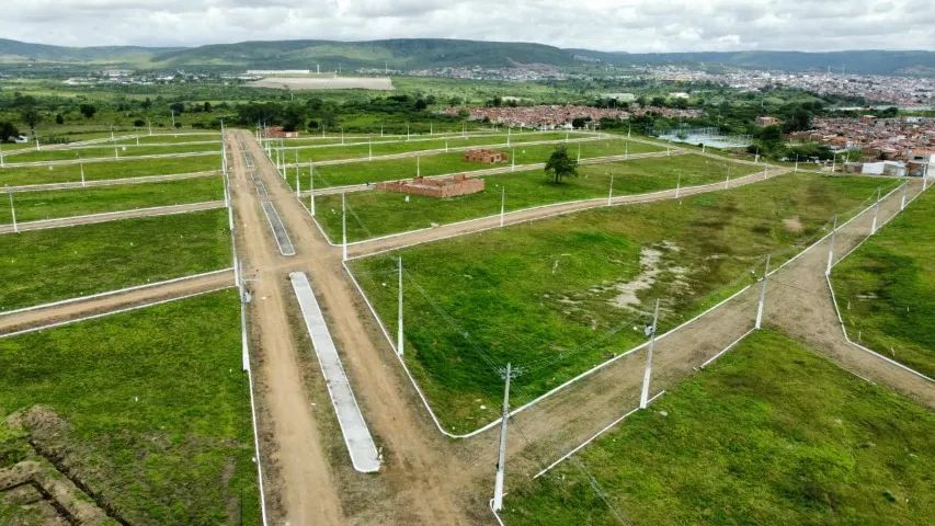 REPASSE DE LOTE EM BEZERROS. contato 81- * - Foto 3