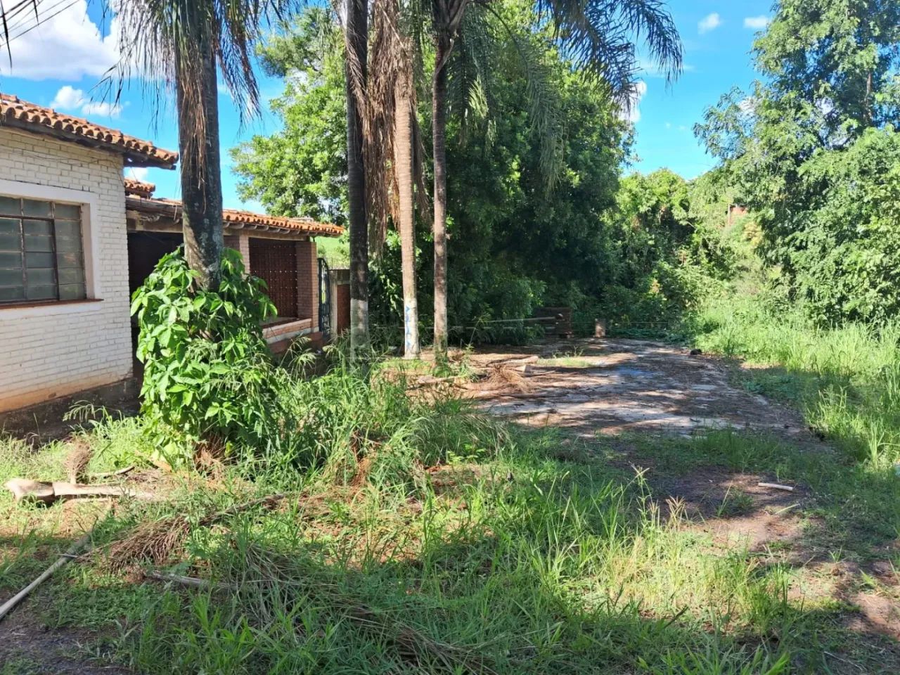 Rural Chácara em Américo Brasiliense - Foto 2