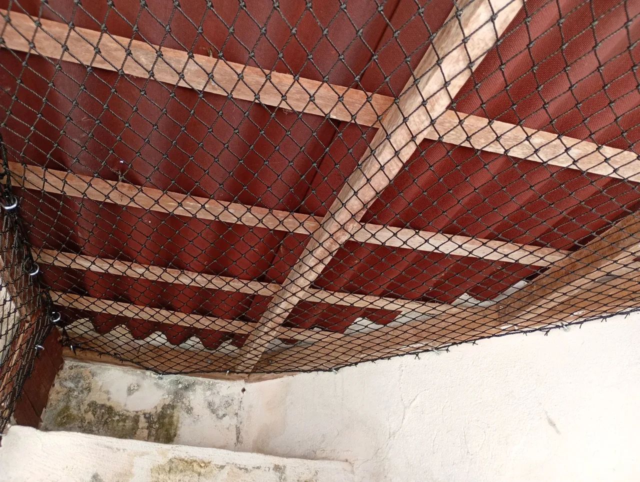 Rede de proteção malha 3/3  - Foto 5