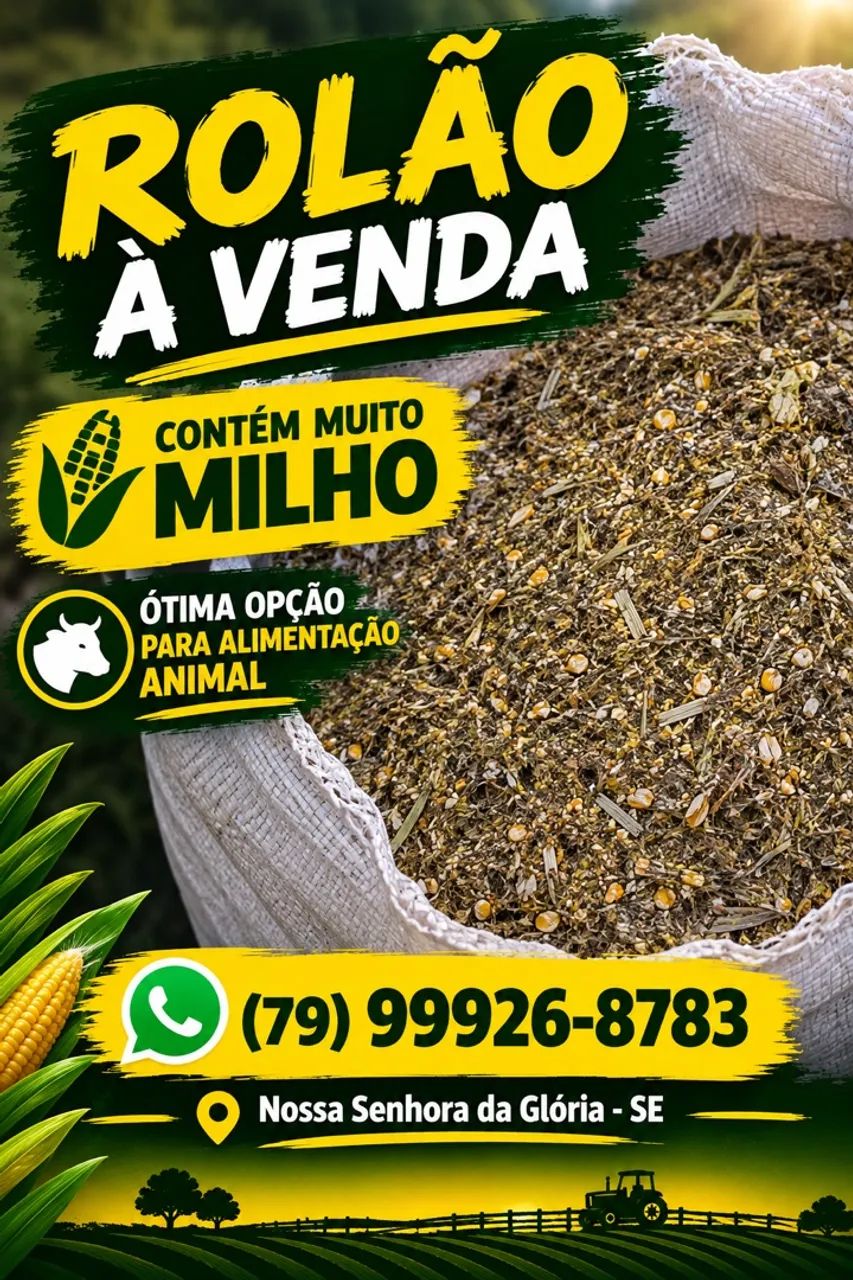 Rolão de milho