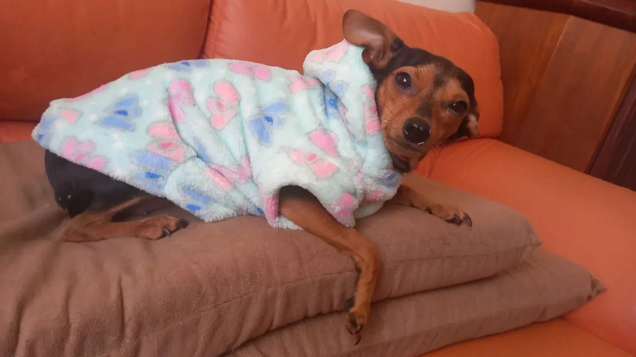 Camisa fleece animais - Foto 2