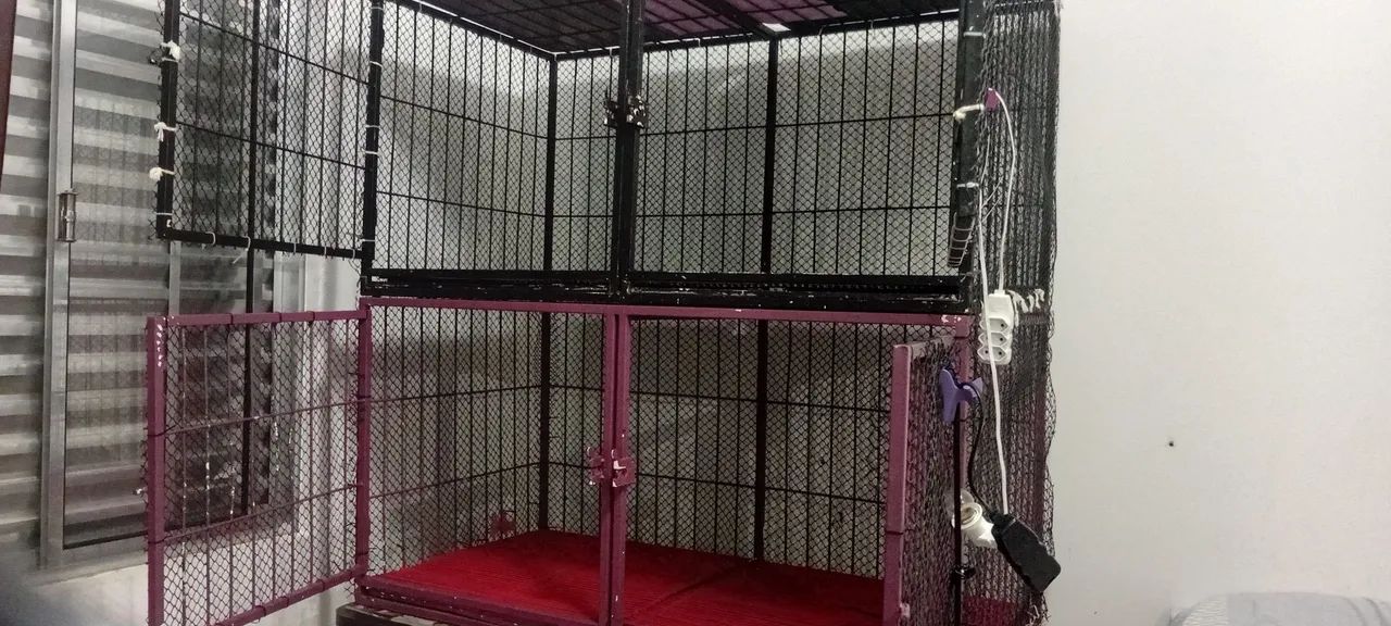 Gaiola pet shop - Foto 4