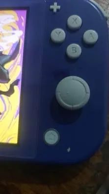 Nitendo switch lite desbloqueado - Foto 3