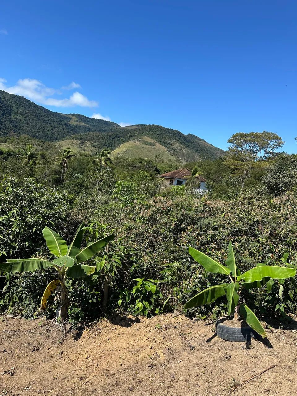 Mini sítio a venda próximo a papucaia-cachoeiras de Macacu  - Foto 5