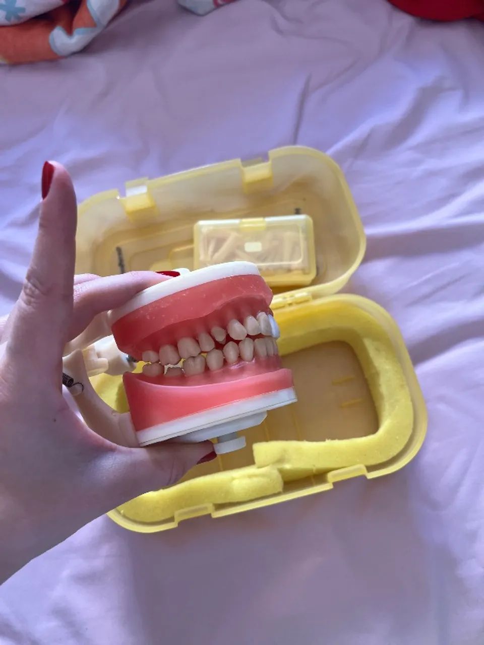 Manequim de dentística  - Foto 2