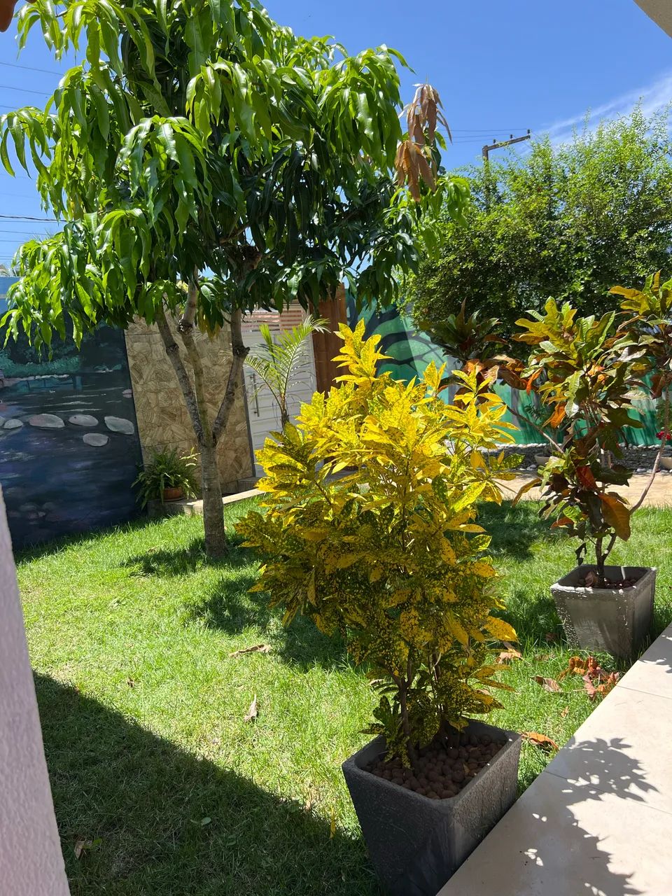 ALUGO CASA COM PISCINA ANUAL - Foto 2