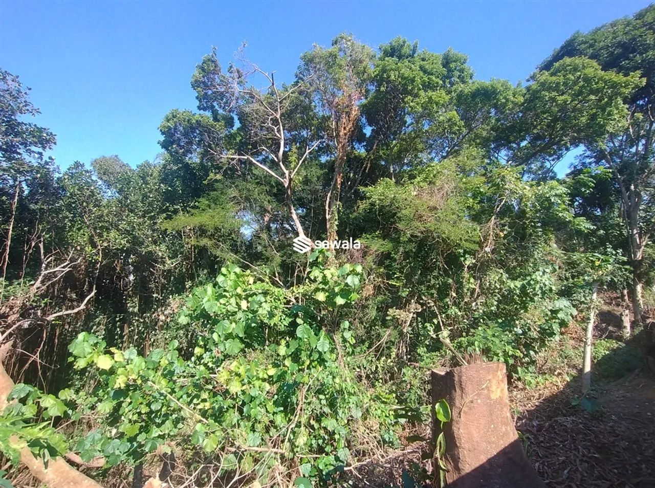 0 - Terreno - VILA VALQUEIRE - Foto 4