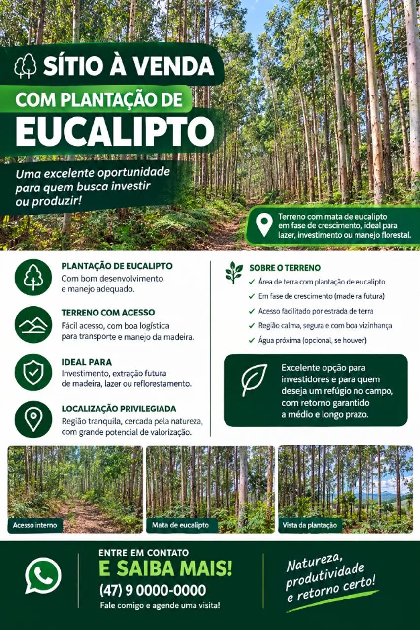 ? SÍTIO À VENDA COM PLANTAÇÃO DE EUCALIPTO | ÓTIMA OPORTUNIDADE