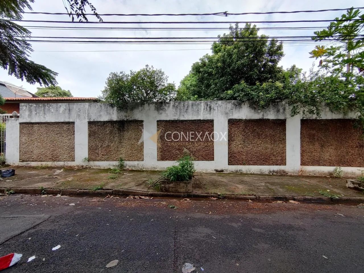 terreno - Cidade Universitária - Campinas