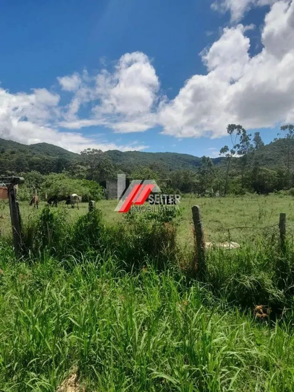 Terreno a venda em Florianópolis - Foto 5
