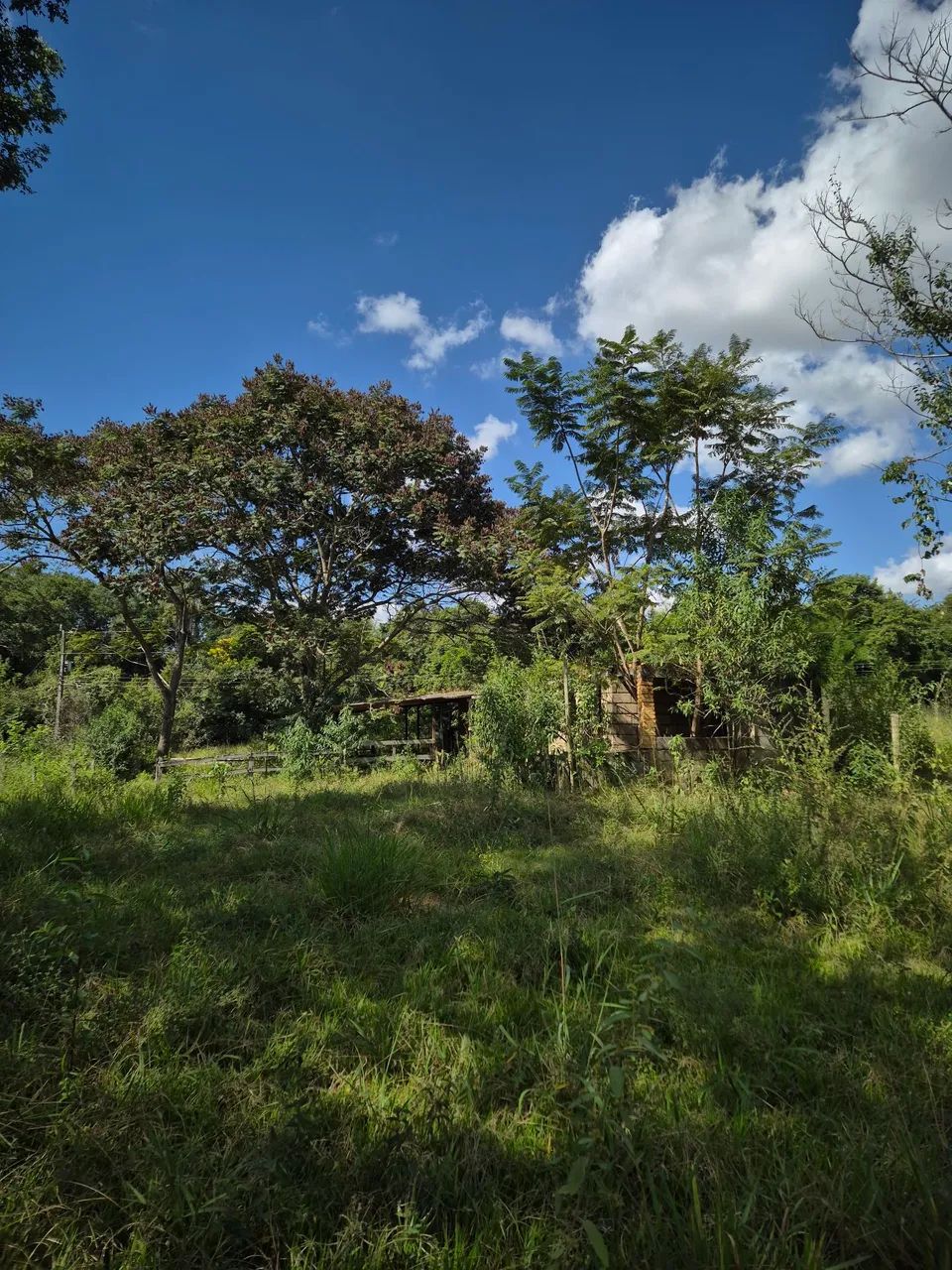 Caetanopolis, Mini-fazenda - Foto 5