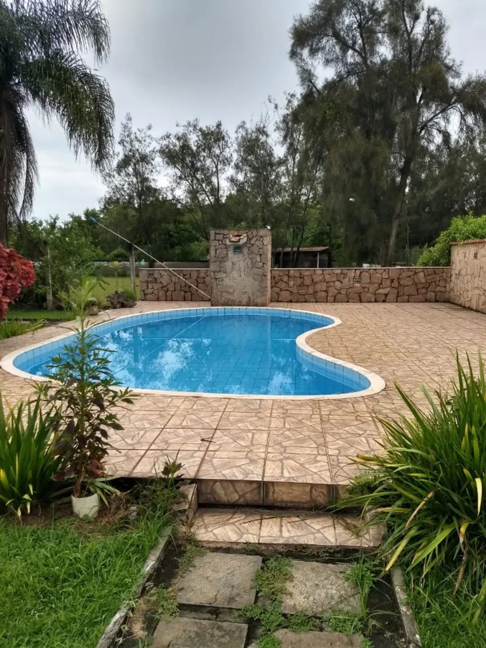 Sítio em Magé - grande oportunidade - Foto 4