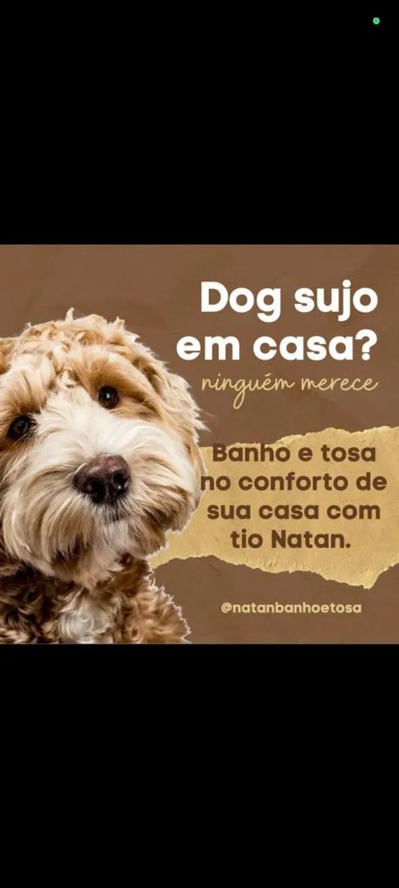 Cuidador De Pet - Foto 2