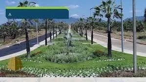 Foto - Pacatuba - Pavuna