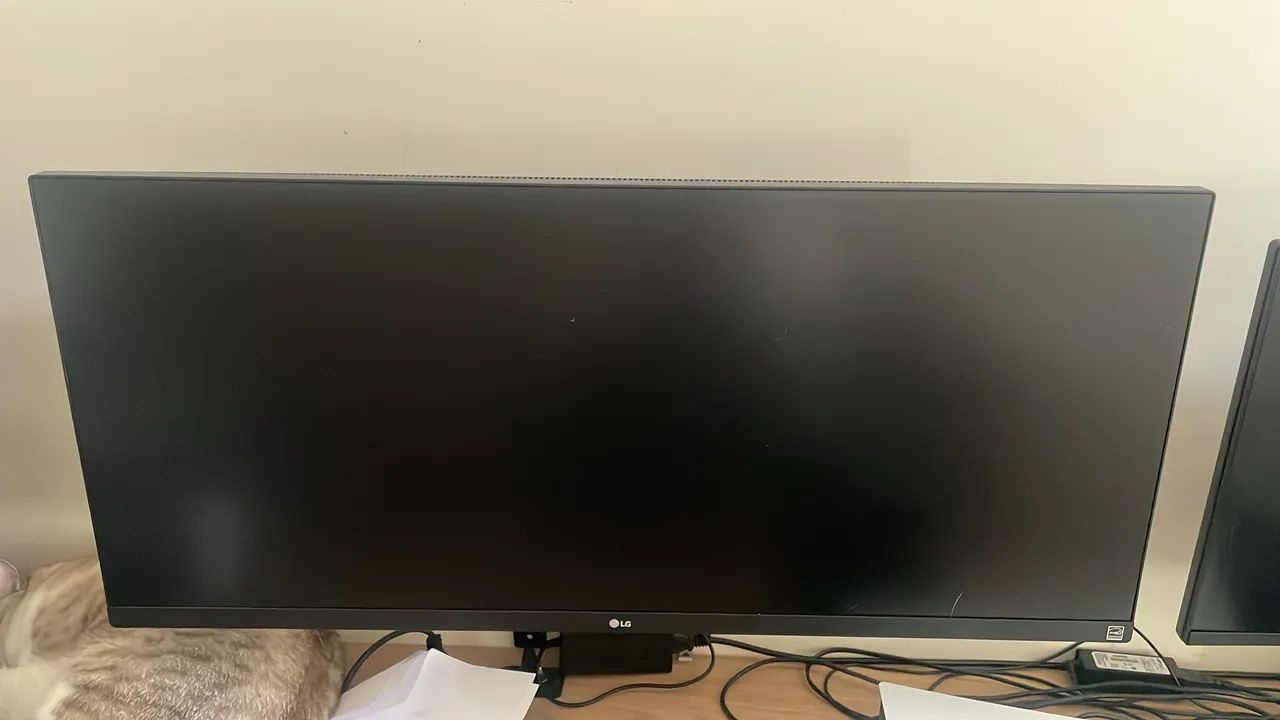 Monitor Ultrawide LG 34 Ips Full Hd Hdr10 Amd Freesync 34wp Cor Preto