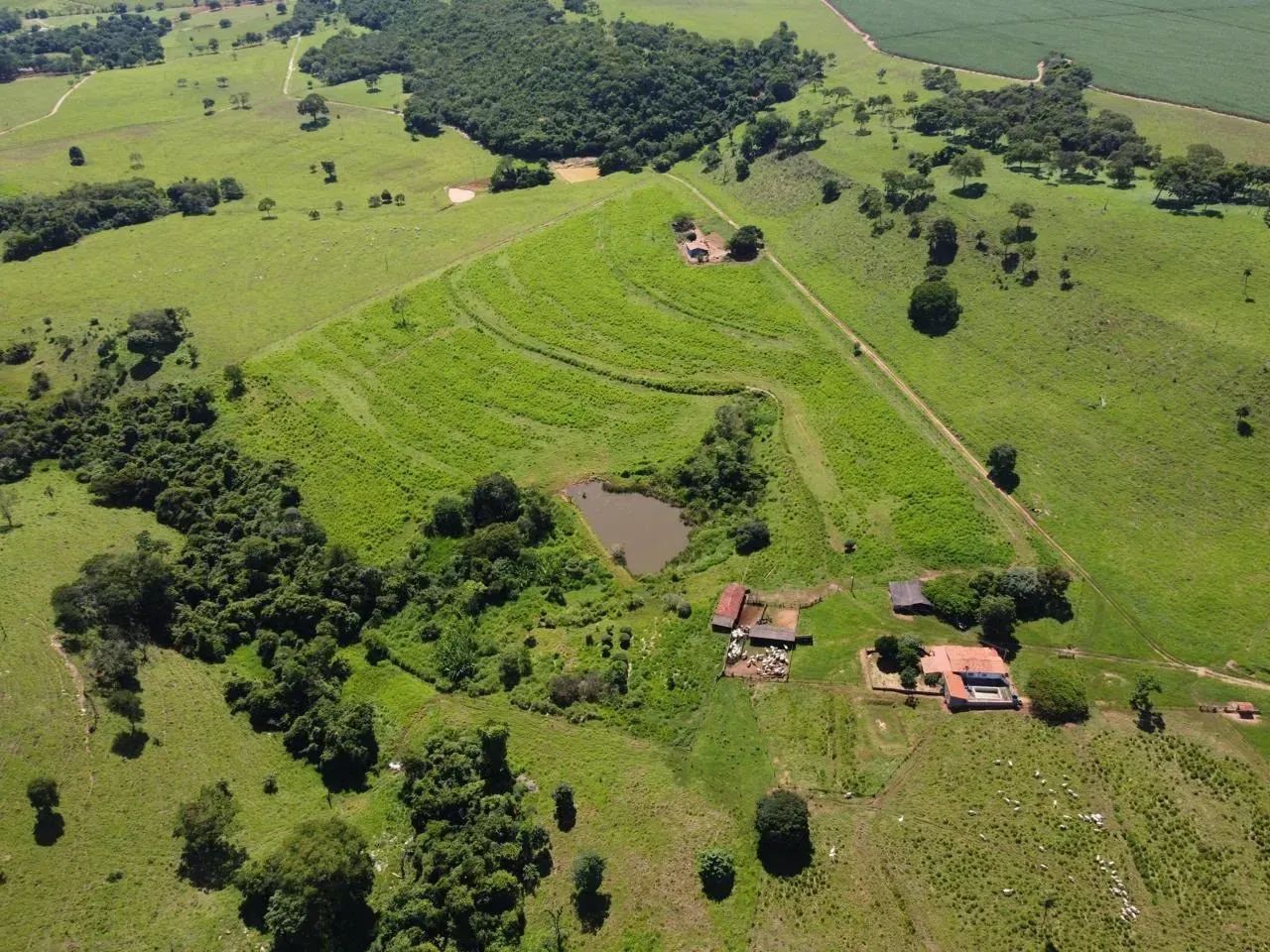 Fazenda 32 alqueires Itapaci GO - Foto 3