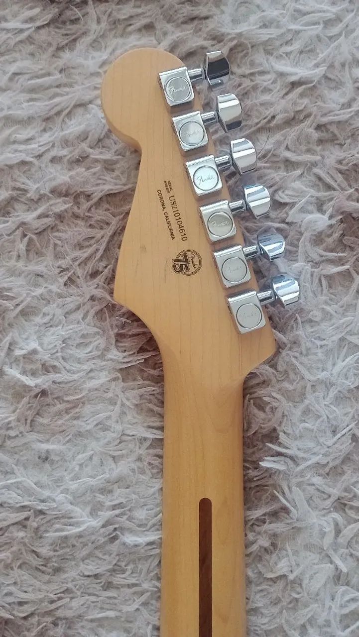 Fender Stratocaster American Professional II  - Foto 4