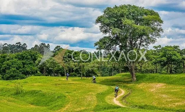 terreno - Jardim Paraíso - Campinas - Foto 5