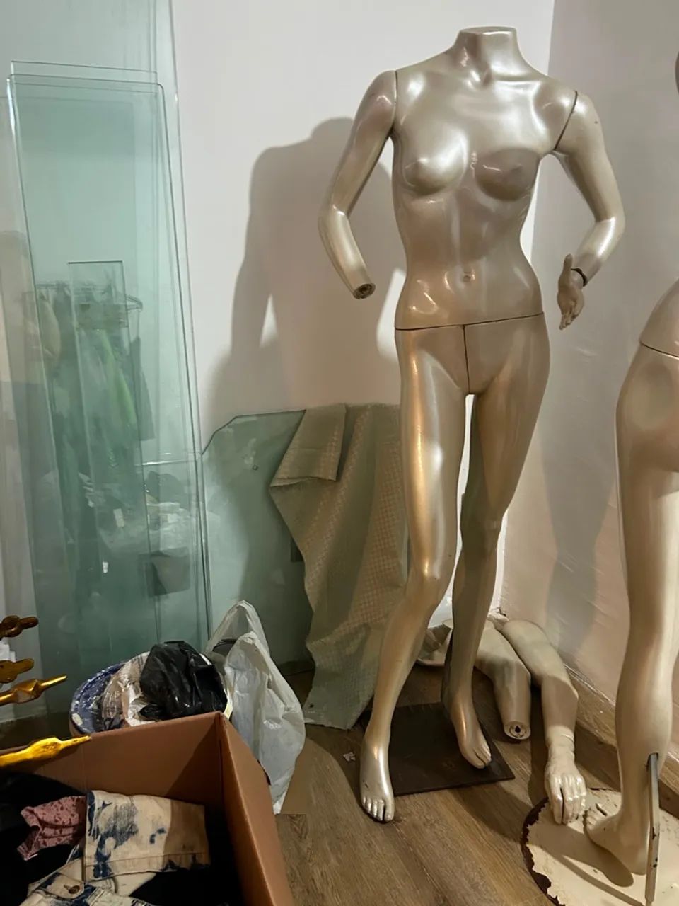 Manequim masculino e feminino - Foto 3