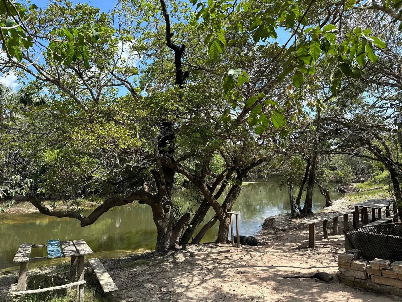 Com documentos em dias. - Foto 2