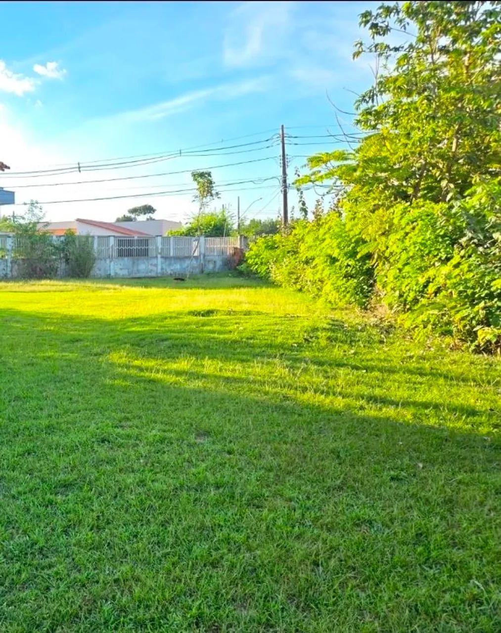 Terreno 2515m2, com açude e pomar. Grande oportunidade  - Foto 2