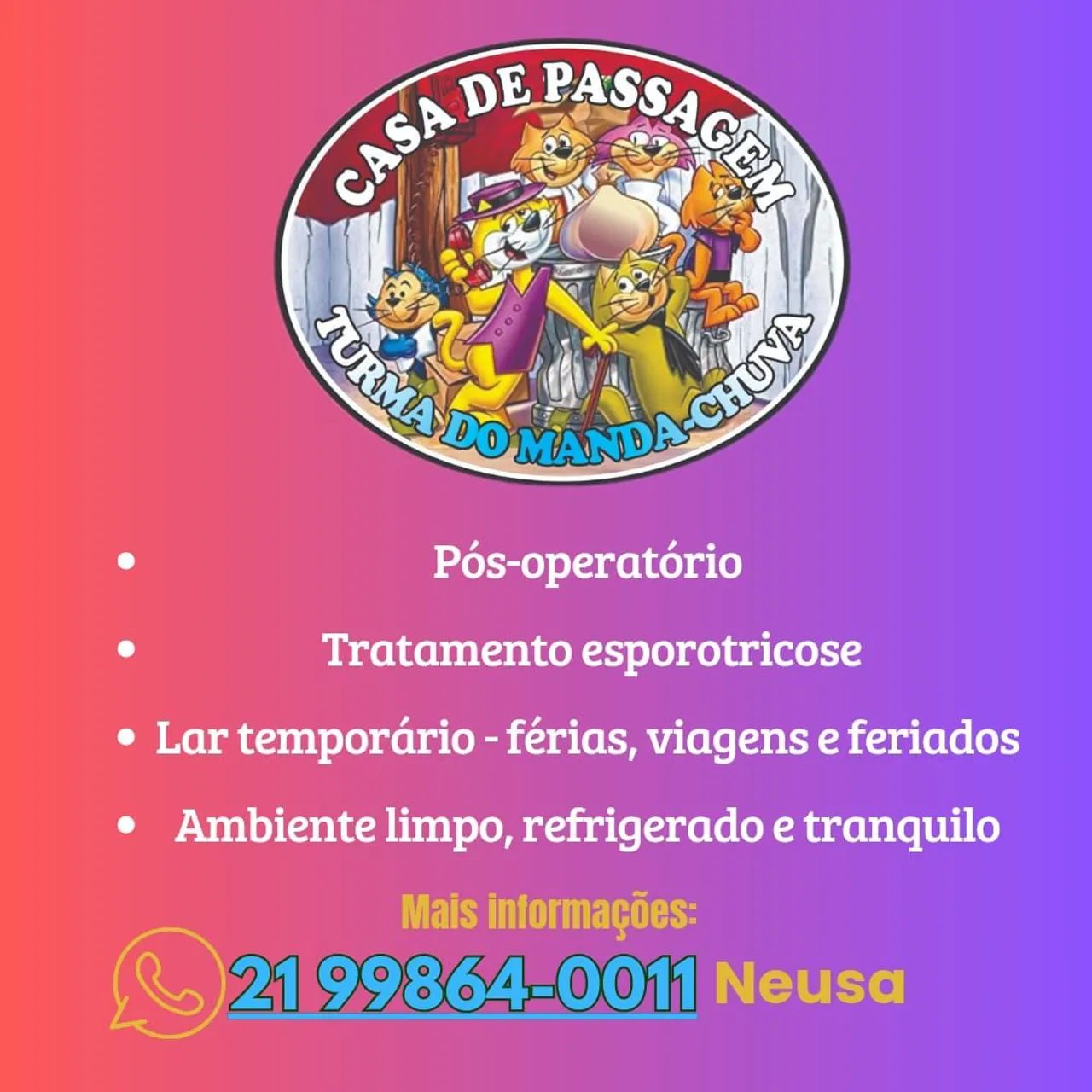 Lar temporário  para gatos 