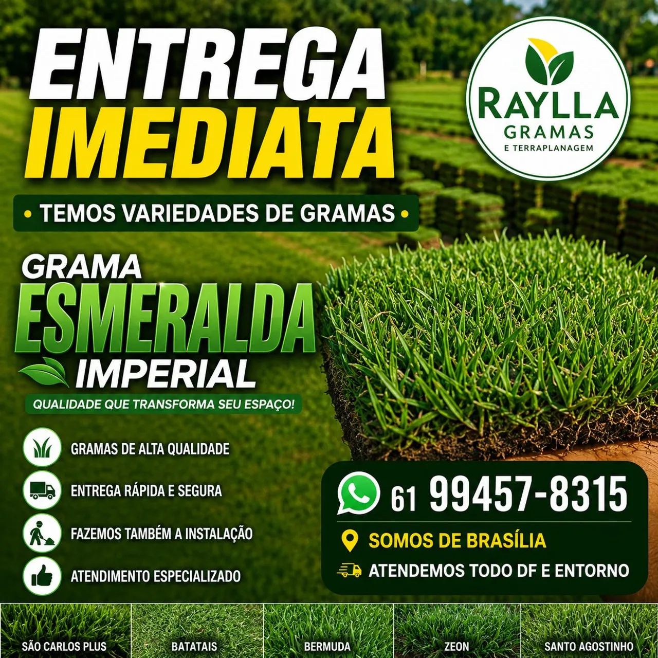 Grama esmeralda imperial 14.00 - Foto 2