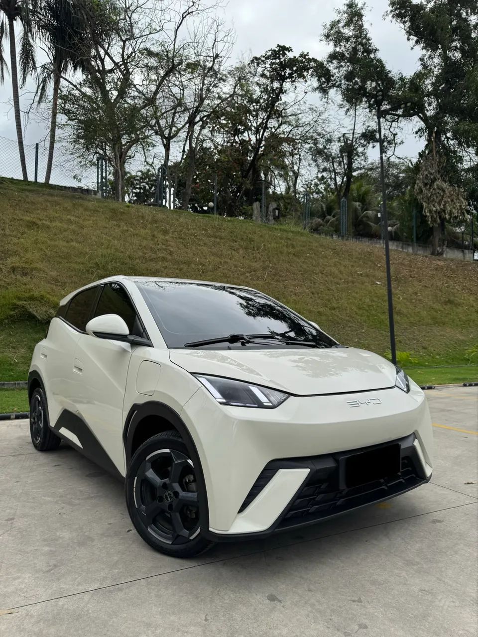 BYD Dolphin Mini (Elétrico) 2024
