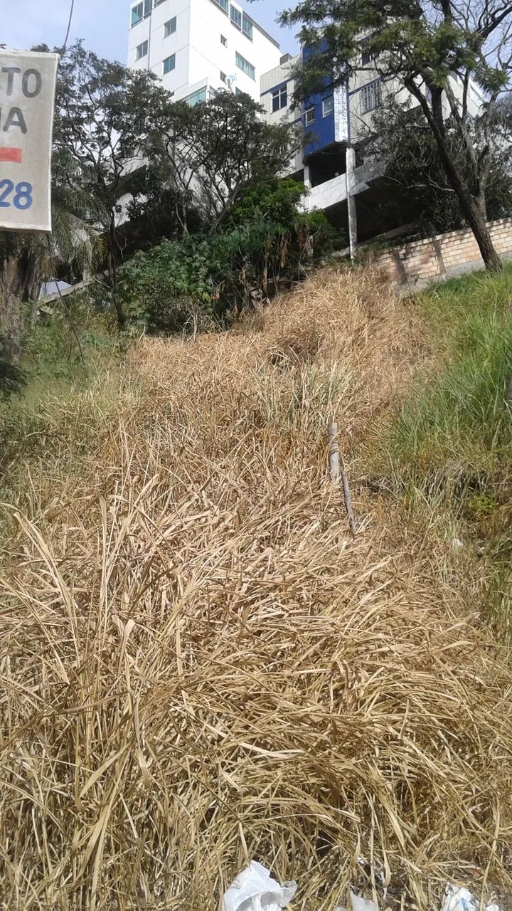 Lote, Dormitorio(s) bairro Ouro Preto